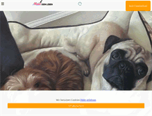 Tablet Screenshot of maledeinleben.com